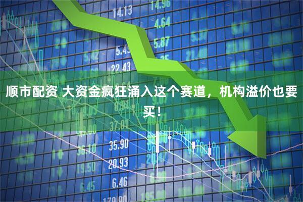 顺市配资 大资金疯狂涌入这个赛道，机构溢价也要买！