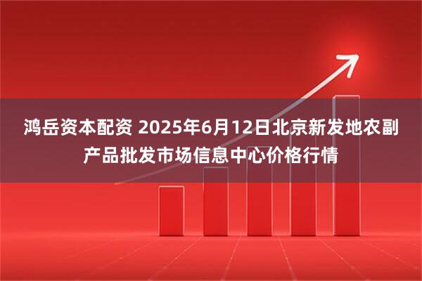 鸿岳资本配资 2025年6月12日北京新发地农副产品批发市场信息中心价格行情