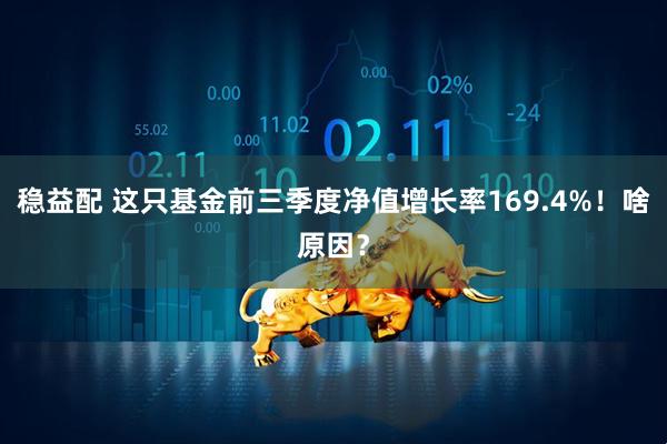 稳益配 这只基金前三季度净值增长率169.4%！啥原因？